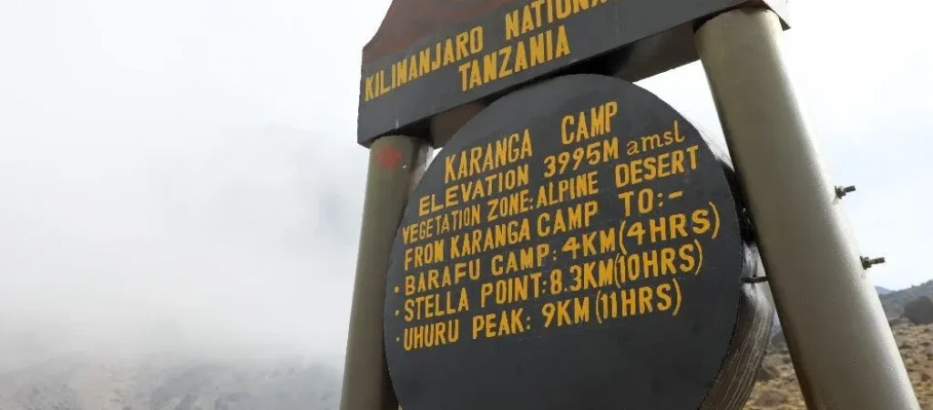 karanga-camp-08-3 karanga-camp-08-3