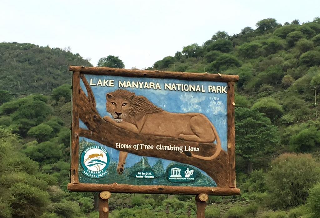tanzania_lake_manyara_exploringafrica_safariadv_romina_facchi_travel_safari (1) tanzania_lake_manyara_exploringafrica_safariadv_romina_facchi_travel_safari (1)